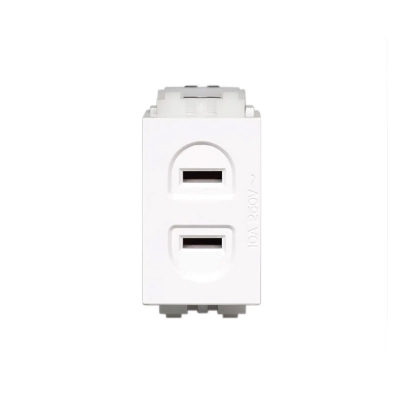128型 二孔電源模塊 二孔插座 二插座強電模塊可配開關面板和地插 占1個模塊位